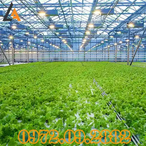 Tư Vấn Đào Tạo Chứng Chỉ Giám Sát Công Tác Xây Dựng Nông Nghiệp