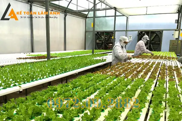 Chứng chỉ năng lực quản lý dự an