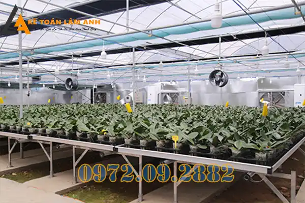 Chứng chỉ năng lực xây dựng hạng 3 là gì?