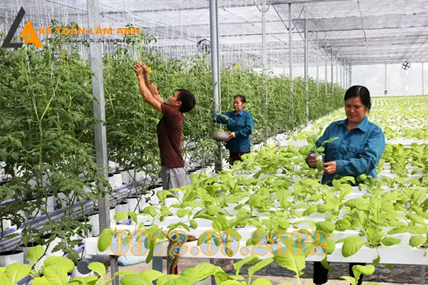 Chứng chỉ năng lực hoạt động xây dựng quản lý dự an