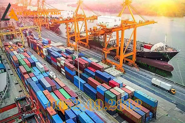 Chứng chỉ thiết kế hạng 1