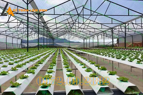 Chứng chỉ hành nghề thiết kế kiến trúc