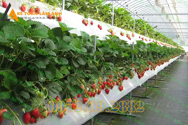 Các loại chứng chỉ hành nghề thiết kế