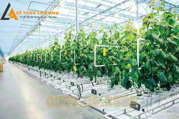 Chứng chỉ thiết kế hạ tầng kỹ thuật