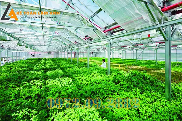 Chứng chỉ hành nghề thiết kế