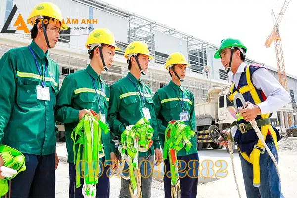 Thông tư 36/2019/TT-BLĐTBXH