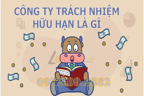 Công ty TNHH MTV la gì
