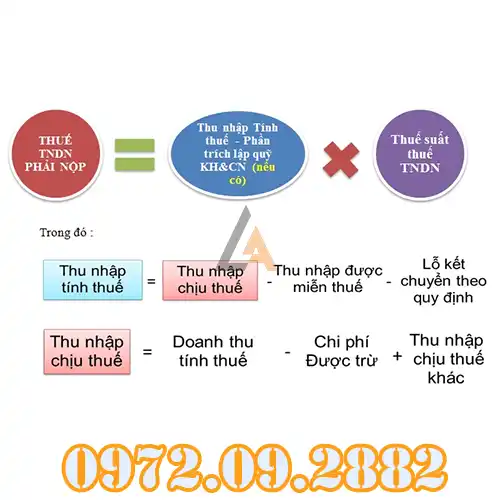Các Loại Thuế Và Mức Thuế Doanh Nghiệp Phải Đóng Cách Tính Chi Tiết