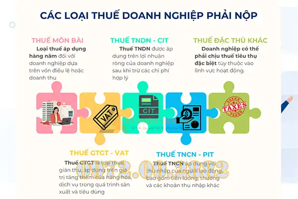 Thuế TNDN phải nộp bao nhiêu phần trăm?
