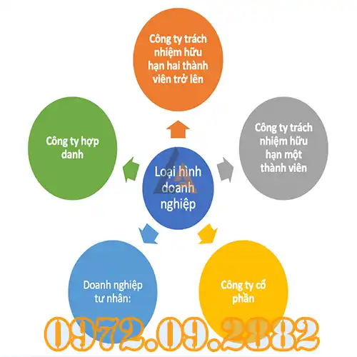 So Sánh Công Ty TNHH Và Công Ty Cổ Phần Khác Biệt Quan Trọng Cần Biết